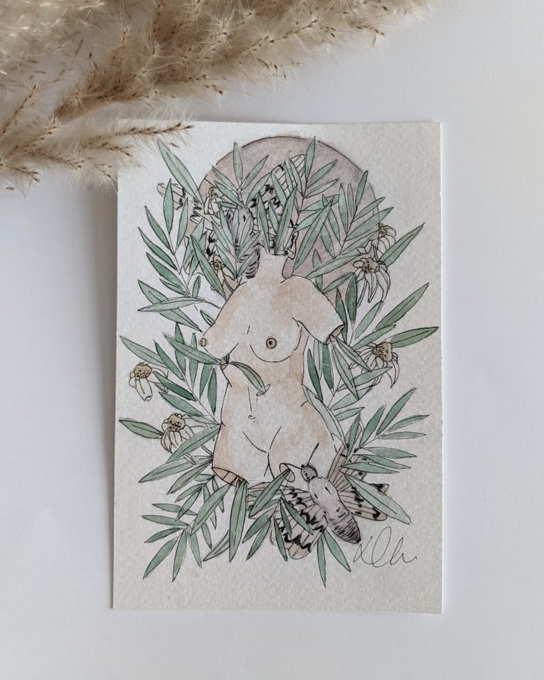 Take home a moth &amp; moon 🌙