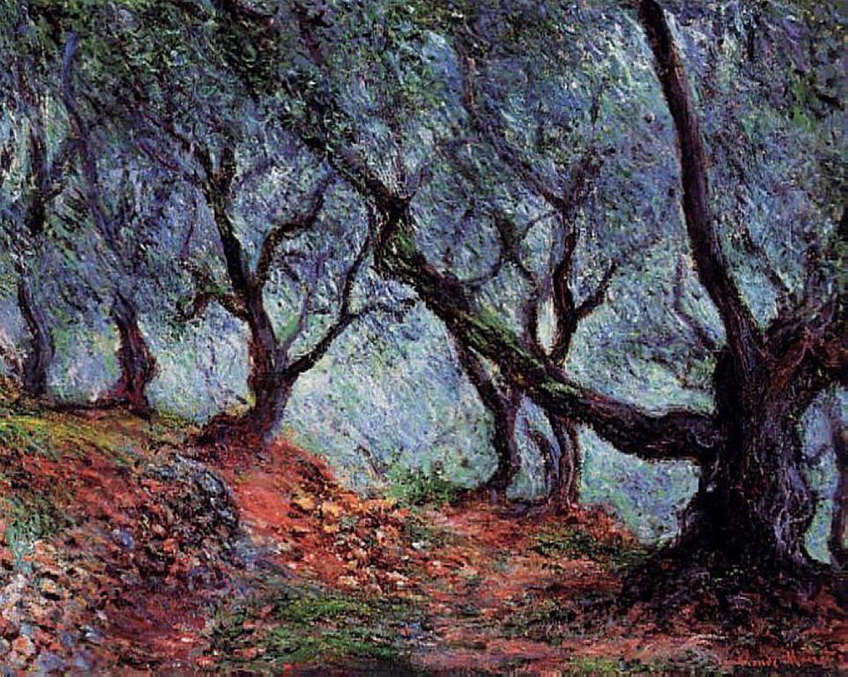 artistmonet's tweet photo. Grove of Olive Trees in Bordighera, 1884 #impressionism #claudemonet https://t.co/tbb6MA0ysH https://t.co/LfYvUlcwl1