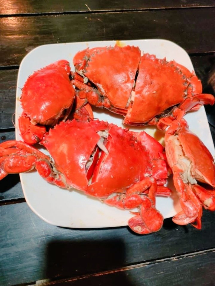 nellyvalencia0's tweet photo. Seasfood.. Food coma right after dinner OMG. will never forget Capiz.. for sure
#ootdinspiration #ootd #mensfashion #aesthetics #streetstyle #influencer #styleinfluencer #followme #retweet #instagay #gay #rainbow #vsco #vscoph #iloilo #ilocity #iloilocityoflove #retweet https://t.co/r7Cc0iD0VZ