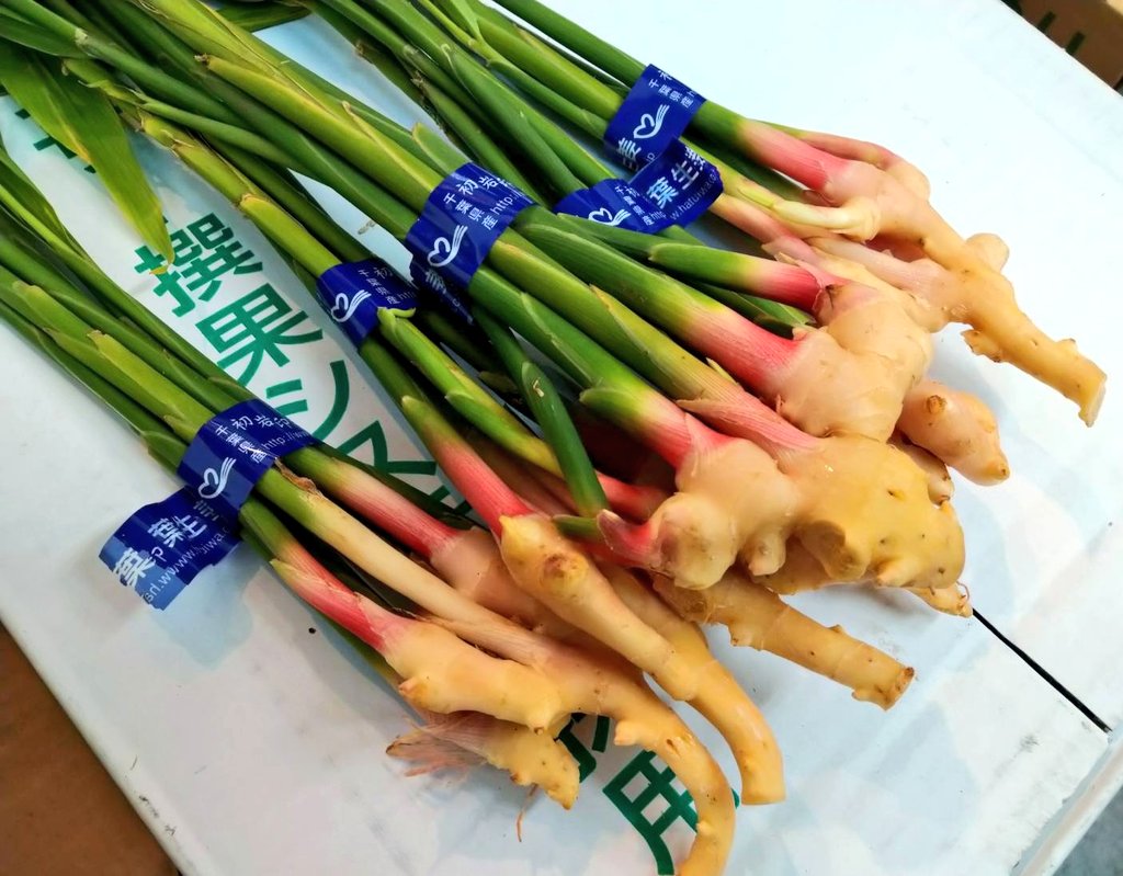 谷中しょうが Twitter Search Twitter