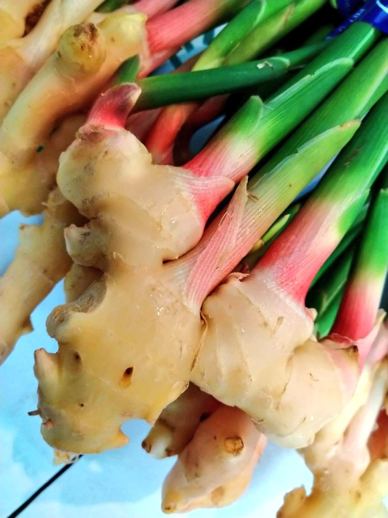 谷中しょうが Twitter Search Twitter