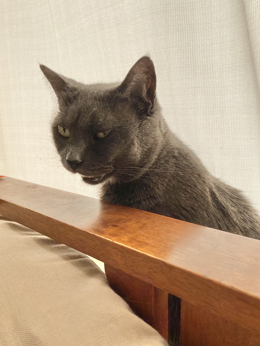 He woke up and turned into a cranky old man