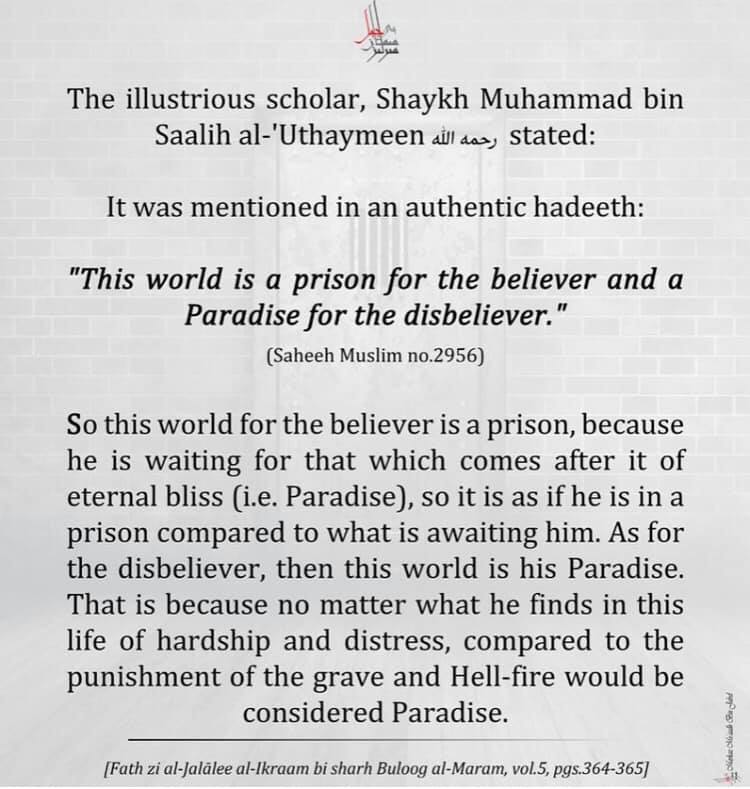 Sariyego's tweet photo. @US2SOMALIA The devils who are causing all of the terrorism in the world, are always the first to tribute for those they have cowardly killed. These Muslims that you killed are freed from this prison of life and they succeed. You, however, will soon face unimaginable reality judgment. https://t.co/eI37lrVJYS