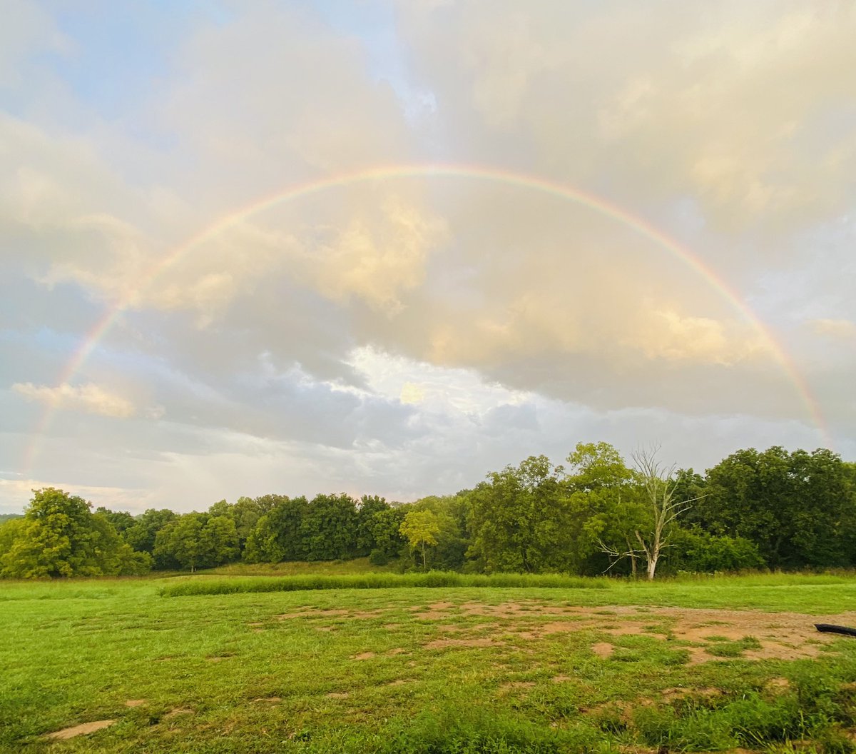 Perfect rainbow over the farm in Campbellsburg. #Kentucky #KY #farm #FarmLife #rainbow #Beautiful @MarcWeinbergWX