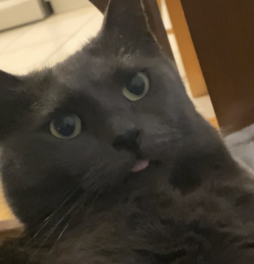I don’t believe I ever posted crab’s blep from the other day