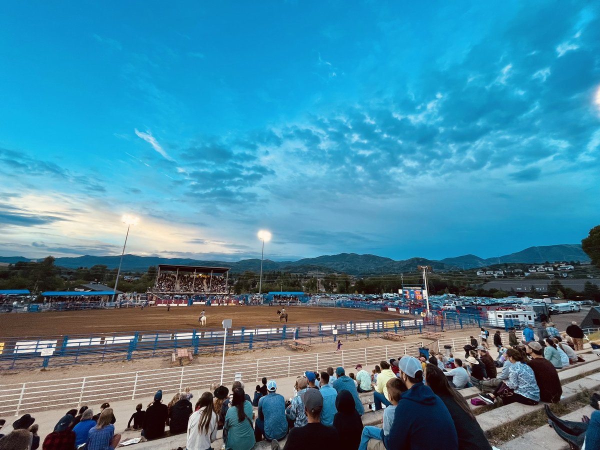 Bucking broncs