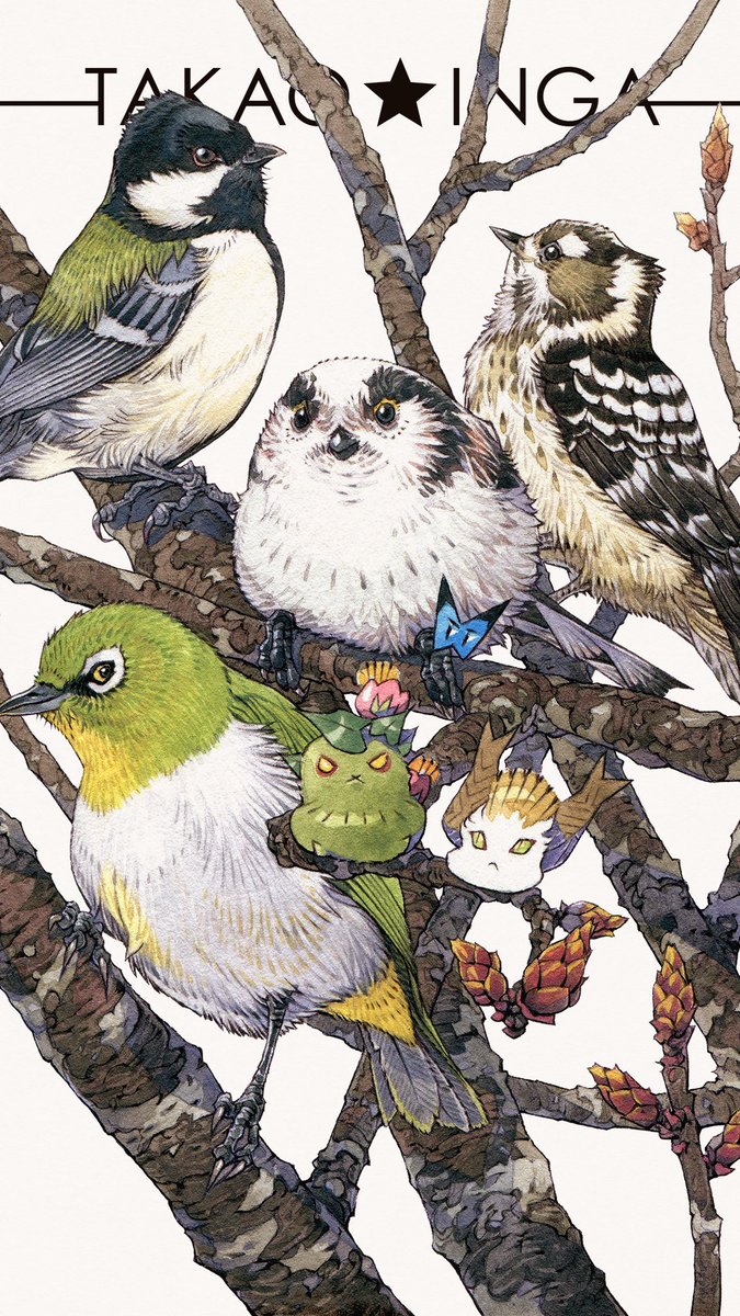 「『ジーっと見ている』#野鳥 」|渡辺孝夫のイラスト