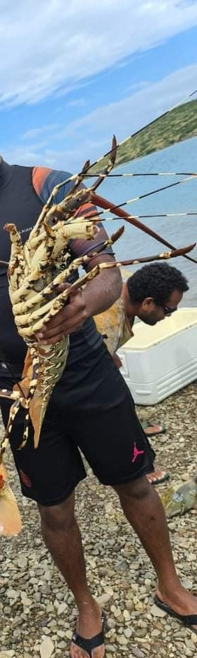 Vivement les prochaine vacances 🤪