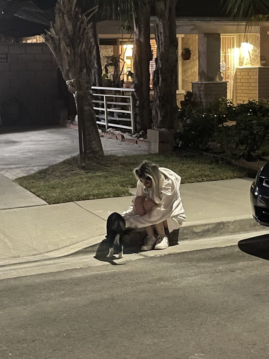 er3ina's tweet photo. my cousin took pics of me when i was drunk and found a cat https://t.co/oGb8rT7zZN