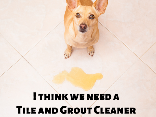 MagicDryCarpets's tweet photo. When the tiles become quite dirty and smell bad, you need the help of a professional tile and grout cleaning service. Magic Dry grout cleaners will remove dirt, grease, bacteria, and the bad smell from your pet's pee. Restoring a clean , fresh look to the tiles. Contact us today! https://t.co/Z1JHjh8n5J