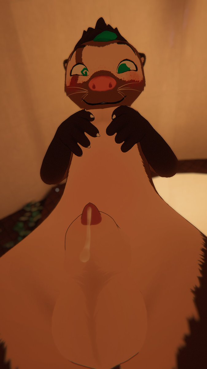 𝐹𝓇𝑒𝒶𝓀𝓎 Ferret tweet media