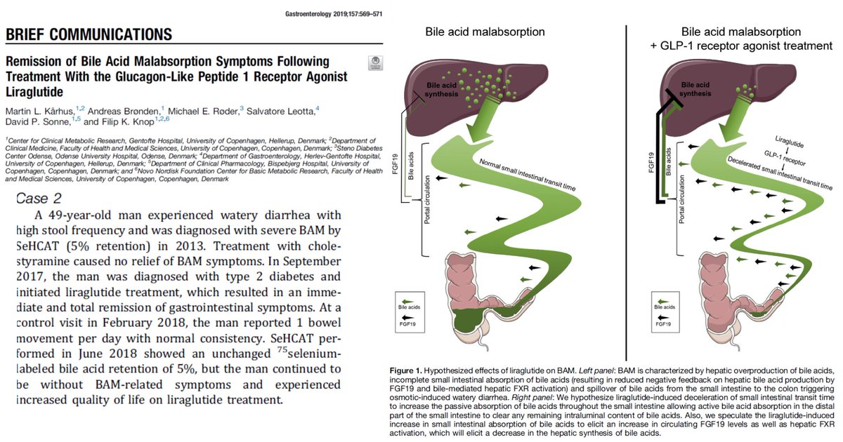 Elliot Tapper tweet media