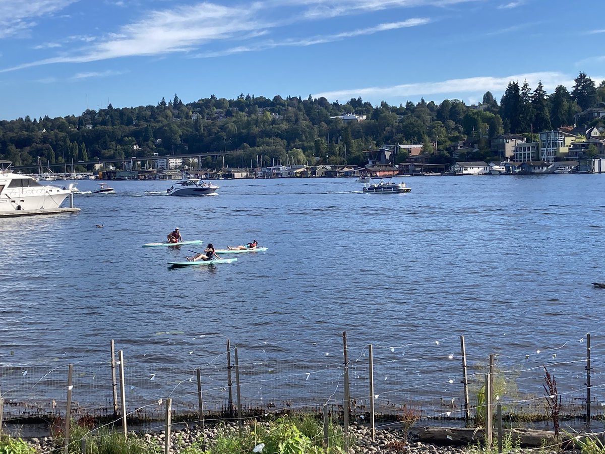 SeattleTechMntr's tweet photo. Yes interns … Seattle is like this year round https://t.co/kcLZy4USwp
