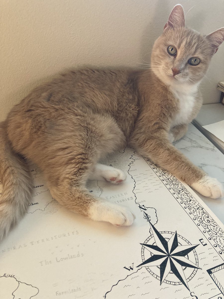 JaimaLindell's tweet photo. Oh excuse me ๐คฆโโ๏ธ any project with a cat #drawing #Catowned #CatsOnTwitter https://t.co/CdQ6d003K3