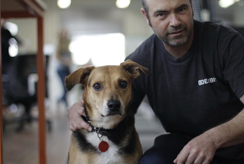 Angie Judge tweet media