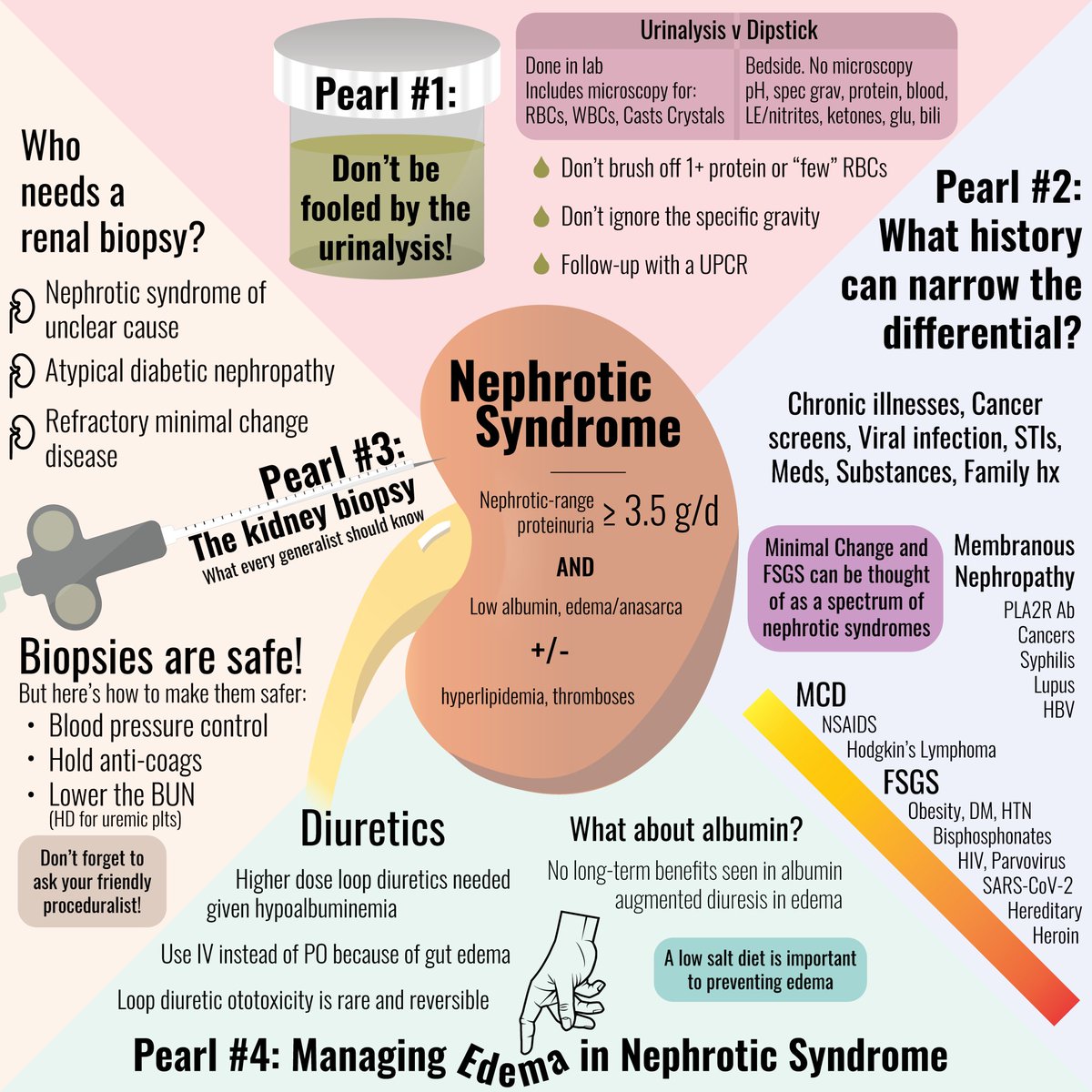Innov_Medicine's tweet photo. Nephrotic Syndrome via @COREIMpodcast
#NephTwitter #meded #MedTwitter https://t.co/01k2i2xa7e