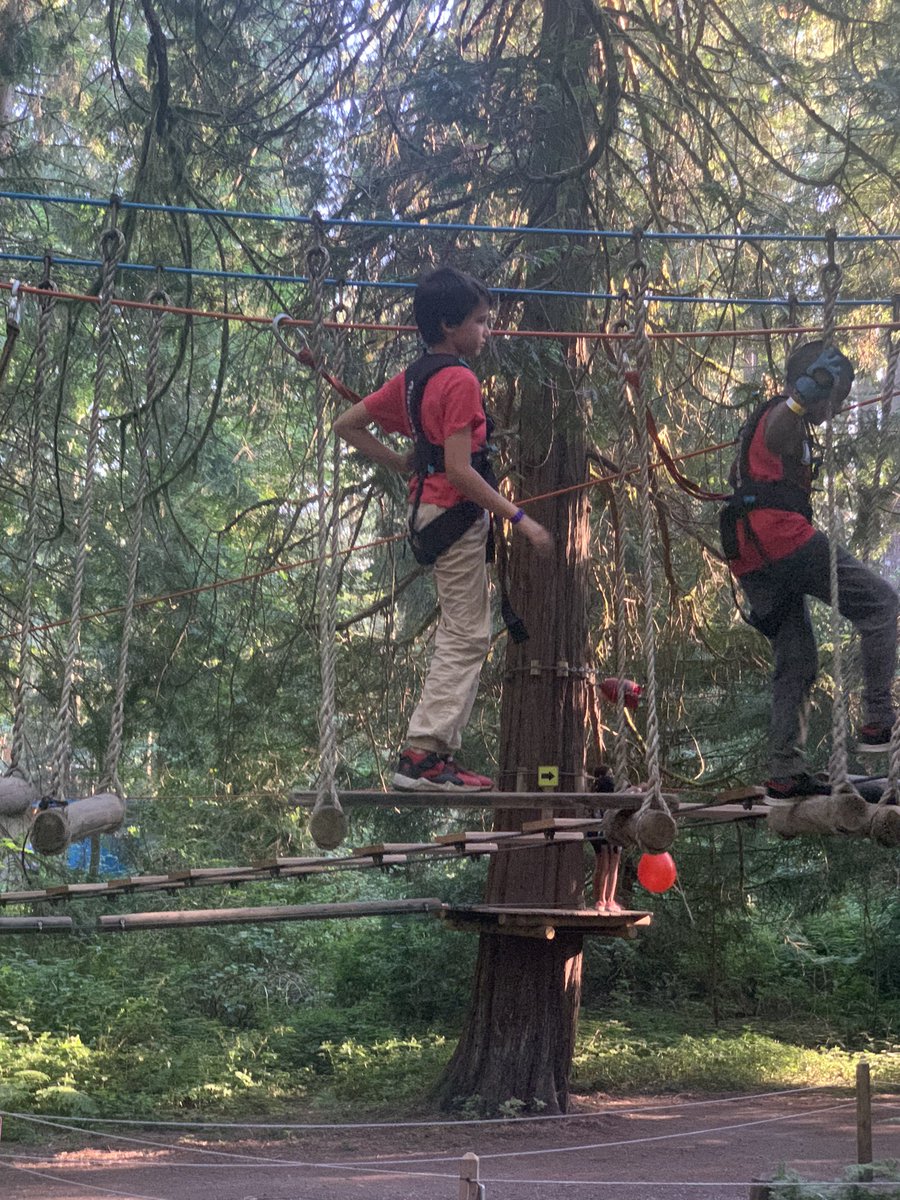 moonjelly_1985's tweet photo. #MapleRidge #Wildplay https://t.co/lW0ZnUr0mc