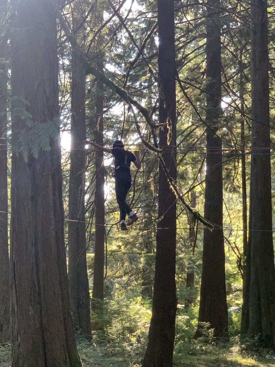 moonjelly_1985's tweet photo. #MapleRidge #Wildplay https://t.co/lW0ZnUr0mc