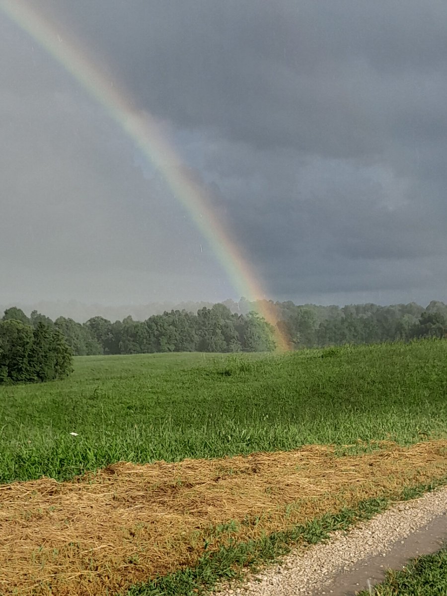 Absolutely incredible 📷 of a vibrant rainbow today from Hardin County, KY. That’s the good news. The bad news … we have confirmation that there is officially no pot of gold at the end of the 🌈.