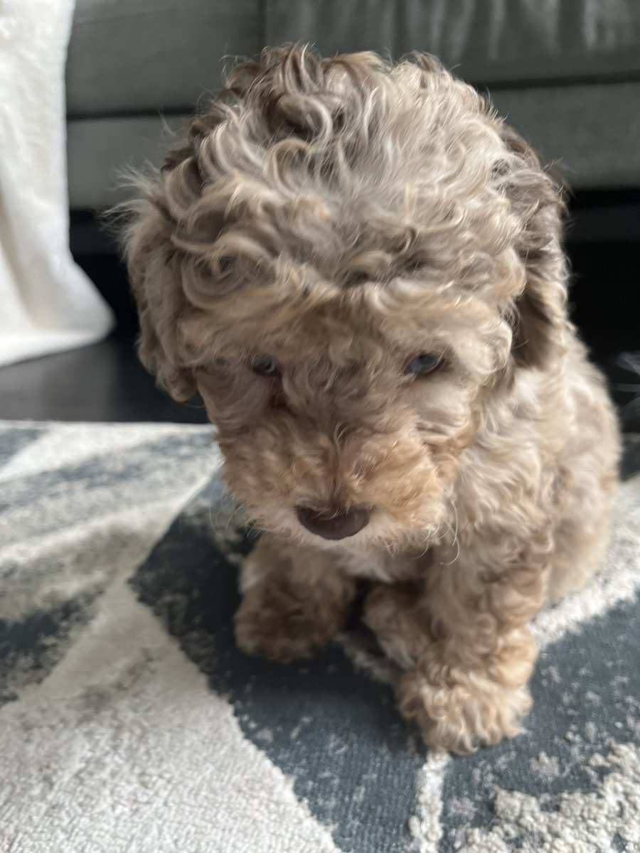 SupplyChainQueen tweet media