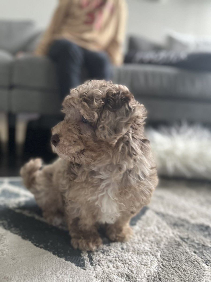 SupplyChainQueen tweet media