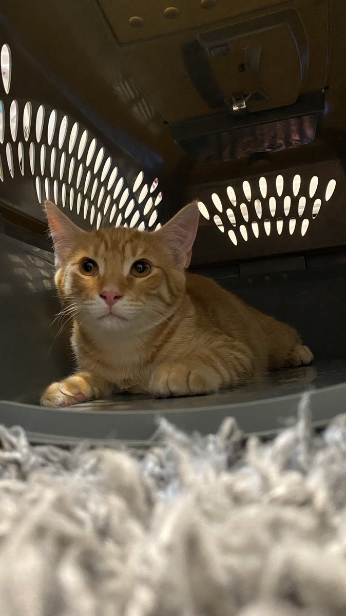 LeighRamsdell tweet media