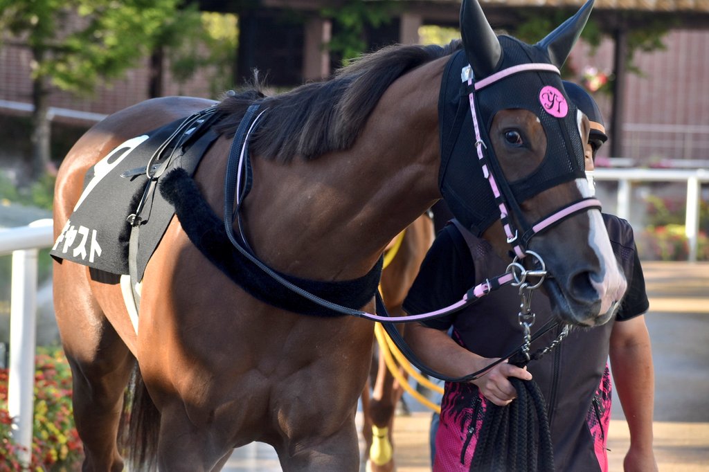 トップキャスト Twitter Search Twitter