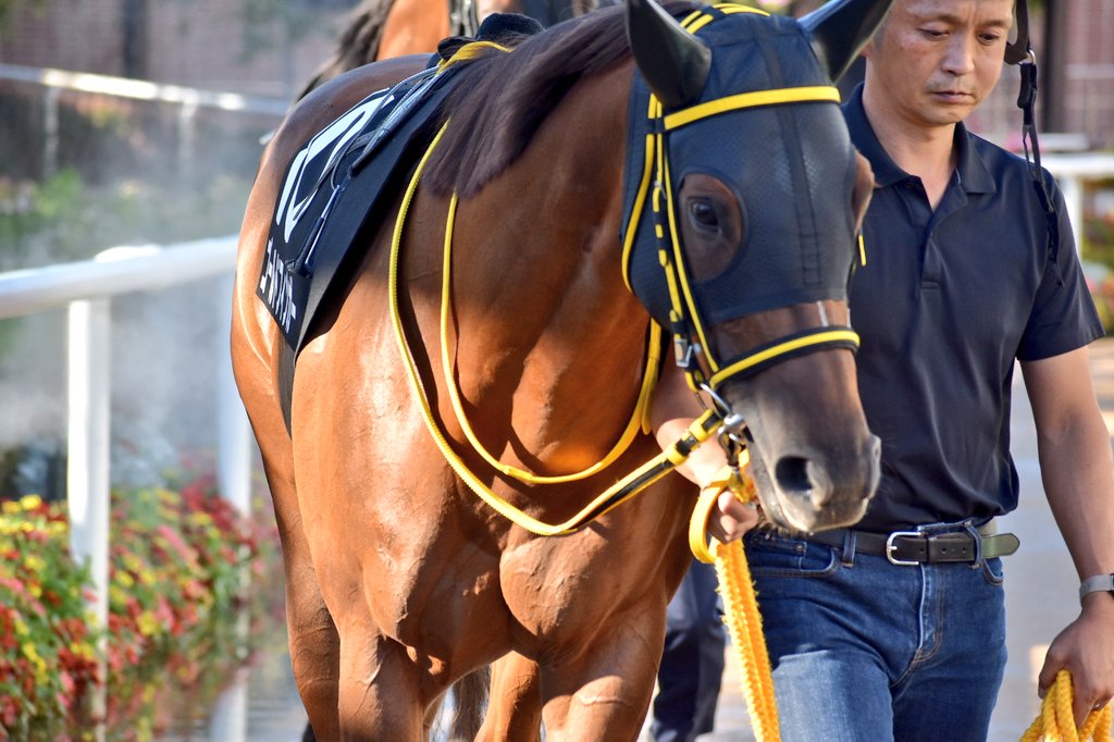 トップキャスト Twitter Search Twitter