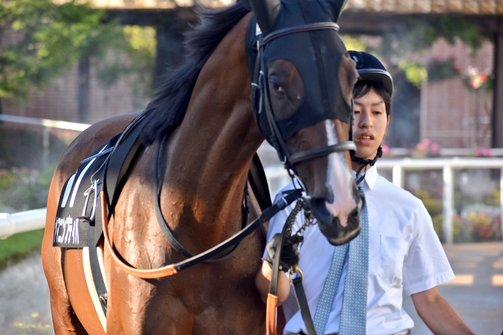 トップキャスト Twitter Search Twitter