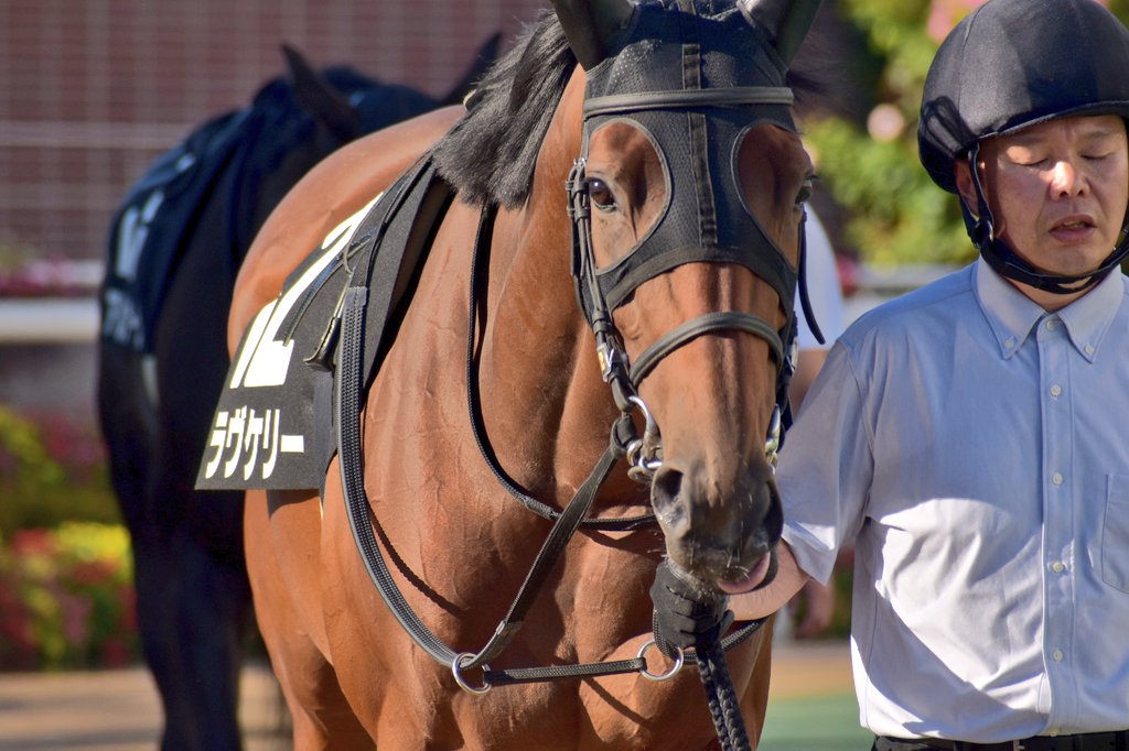 トップキャスト Twitter Search Twitter