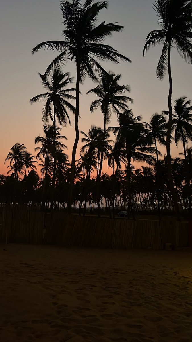 Superbe vue depuis "La vie en Rose" by <a href="/Studiozibj/">Studio Zi</a> à Fidjrosse, Cotonou.

Puis Buga à Yello Fever. Une soirée 👌🏾 pour commencer mes congés.