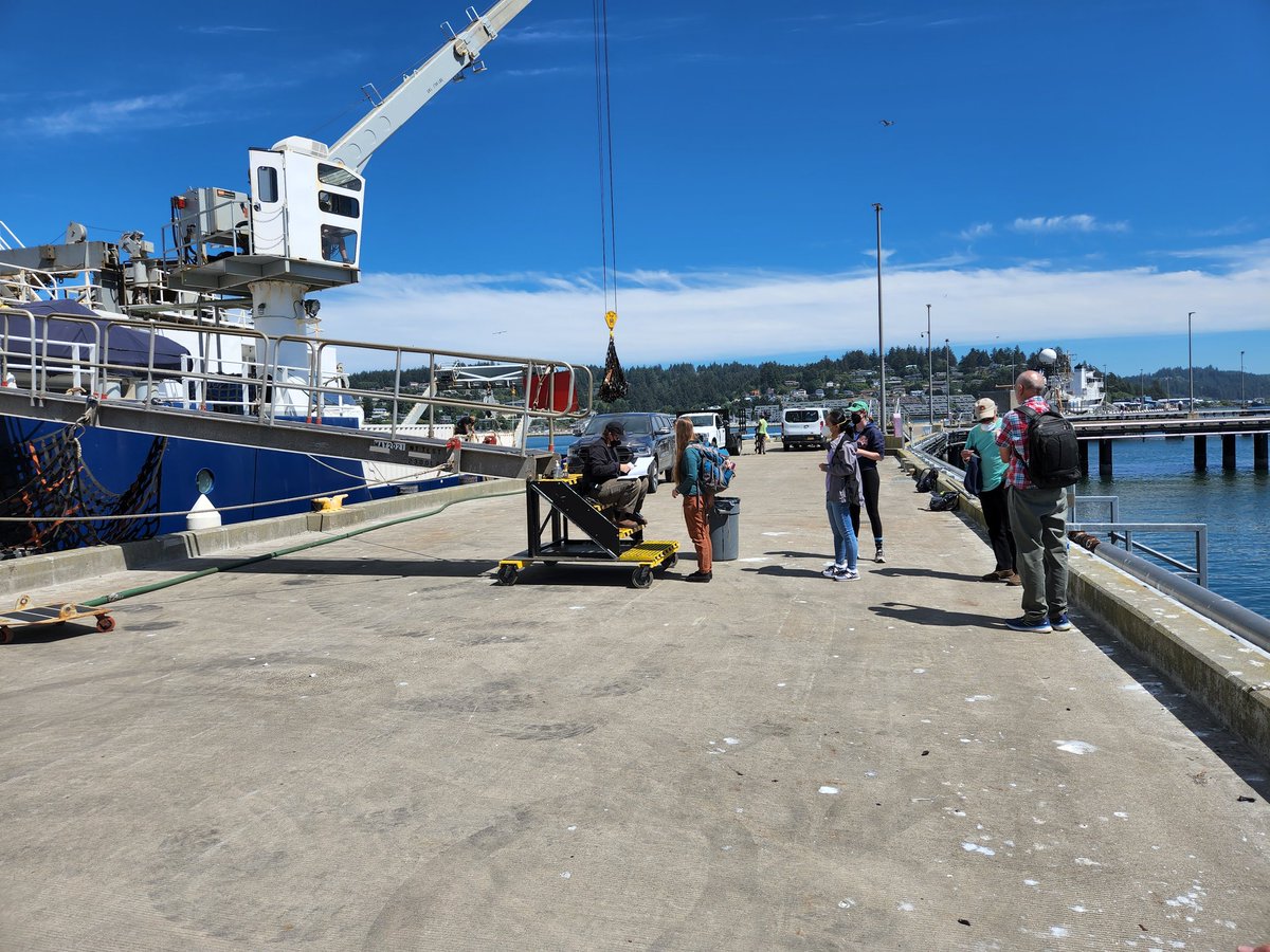 Liz Sikes tweet media