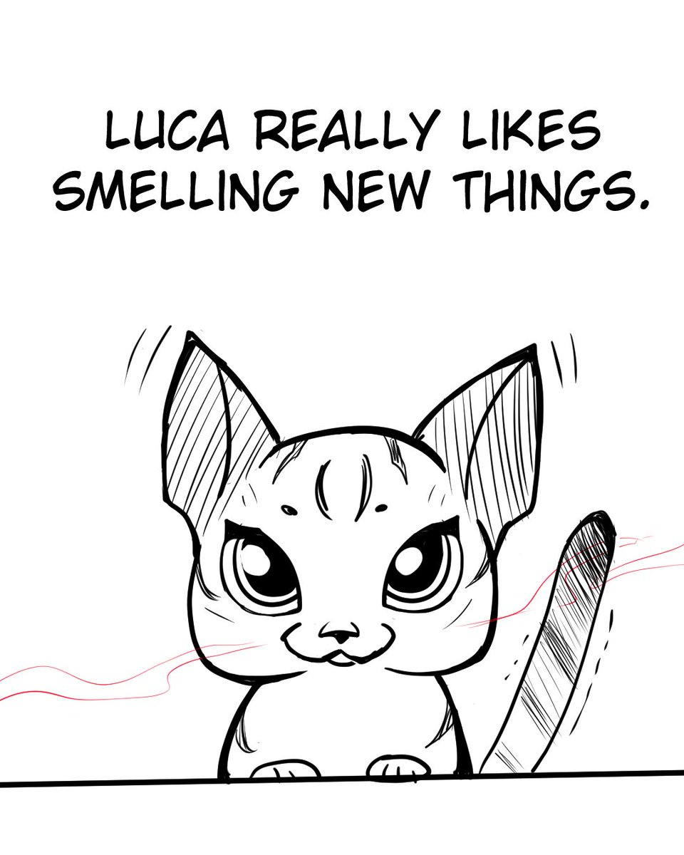 grave_weaver's tweet photo. CAT COMIC 3 - toothpaste (1/2) https://t.co/hjKFQOI43Z