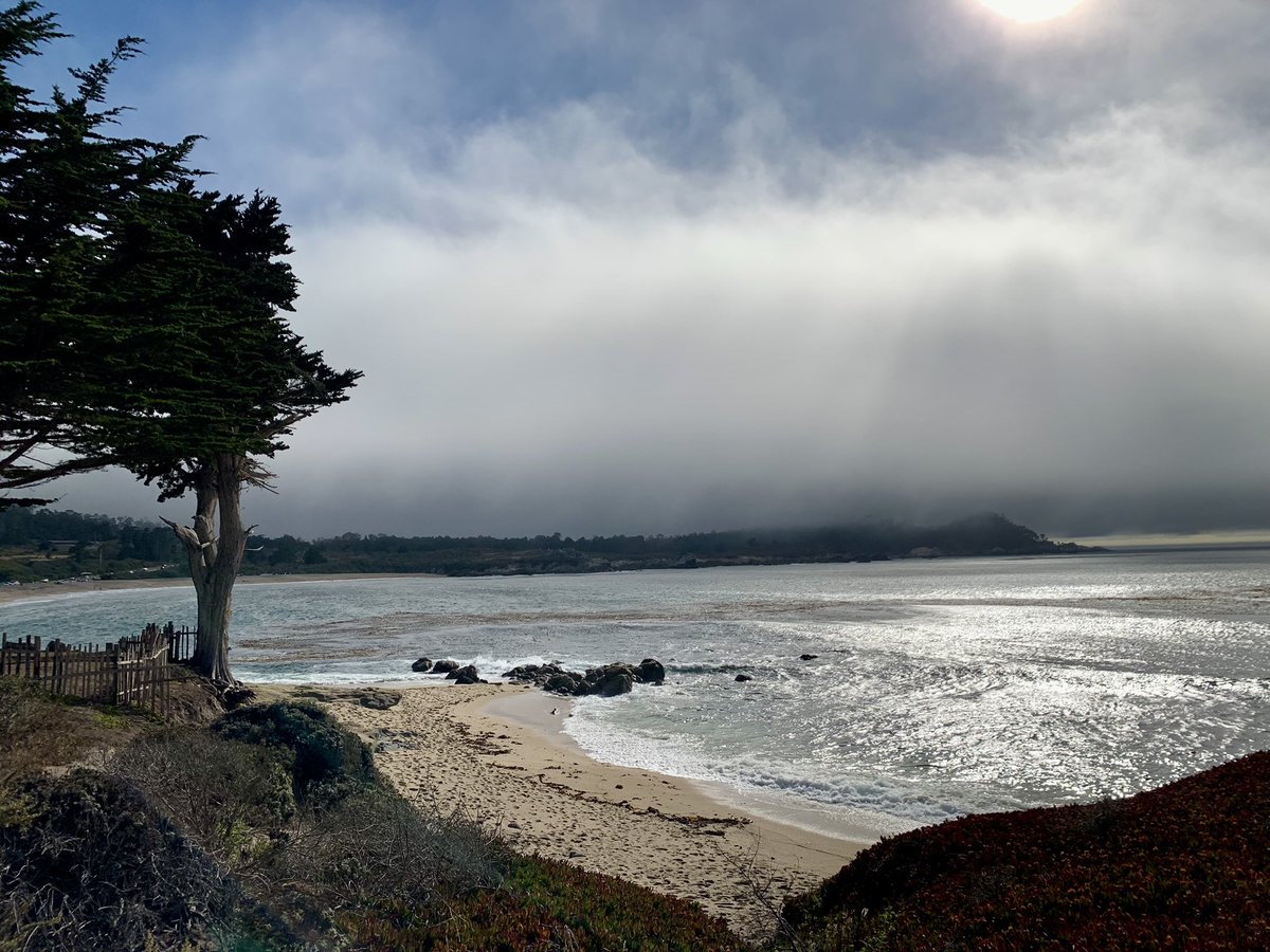 Ray O 'Farrell tweet media