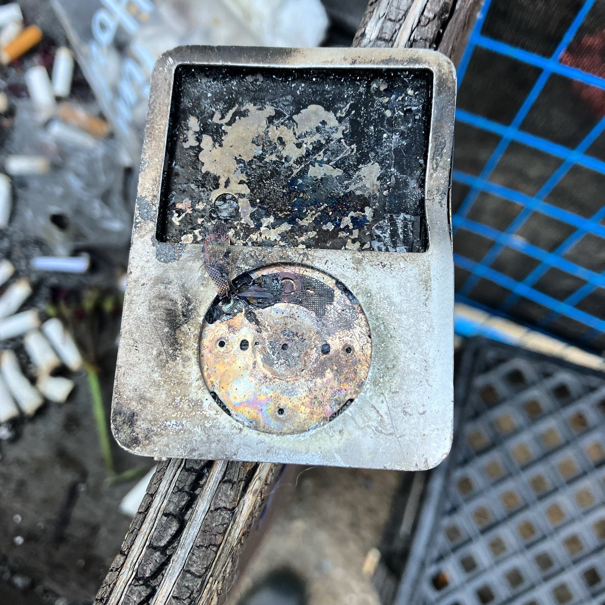 Black Dog Freehouse tweet media