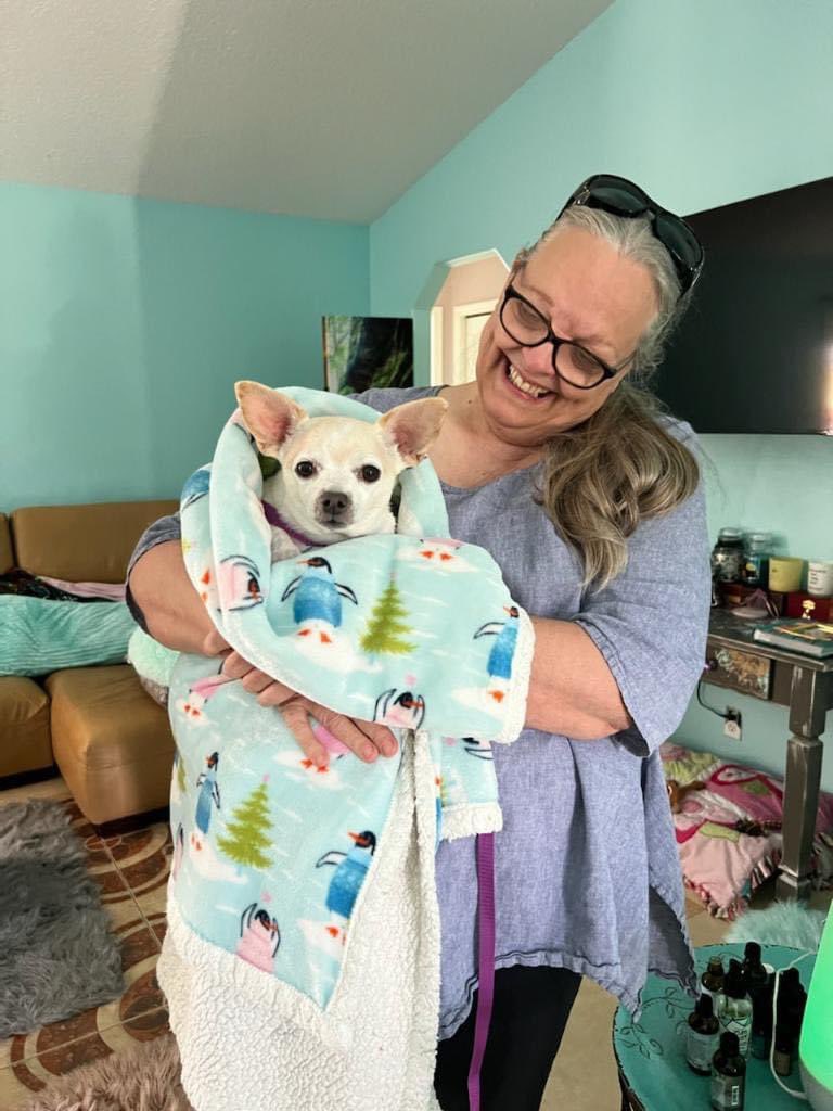 100+ Abandoned Dogs tweet media