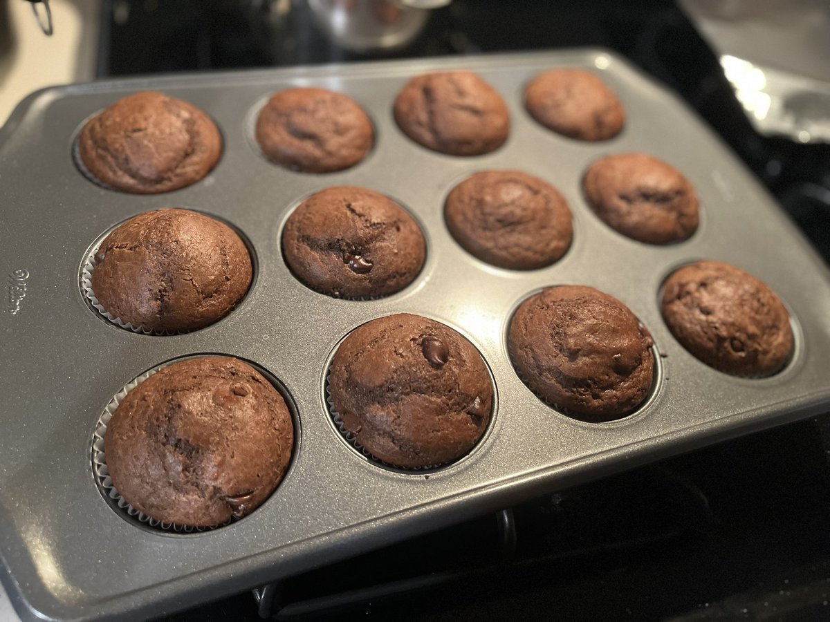 Cupcake sized muffins