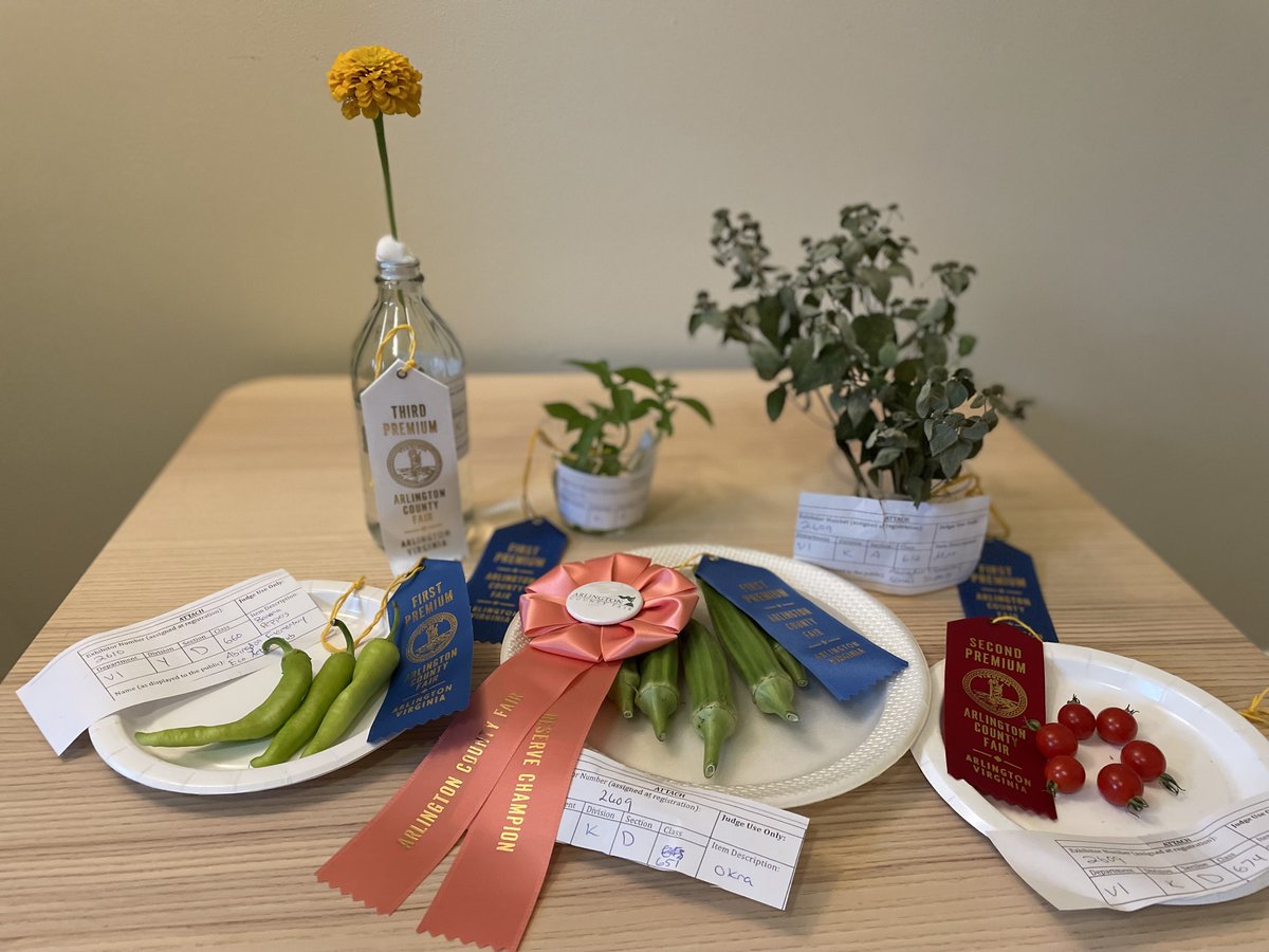 Abingdon Elementary brought home a few ribbons from the Arlington County Fair!🥇 We are incredibly grateful to <a href="/ecoactionabd/">EcoActionABD</a> and our teachers <a href="/MissUpshurAPS/">MissUpshur</a> and @MsBarnes_ArtEd for their garden leadership! Pop by the school garden to check out our prize-winning okra.