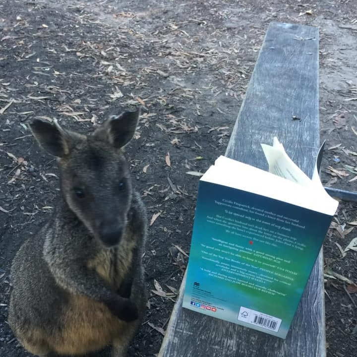 It turns out domestic thrillers 📖 are not just for humans, Liane Moriarty also appeals to macropods 😆.

Will this swamp wallaby find out The Husband's Secret 😮? Find out in the next #MacropodMonday over on the Booderee Facebook page: bit.ly/3A3ZVCm 😆!

📷 Lynn Taylor