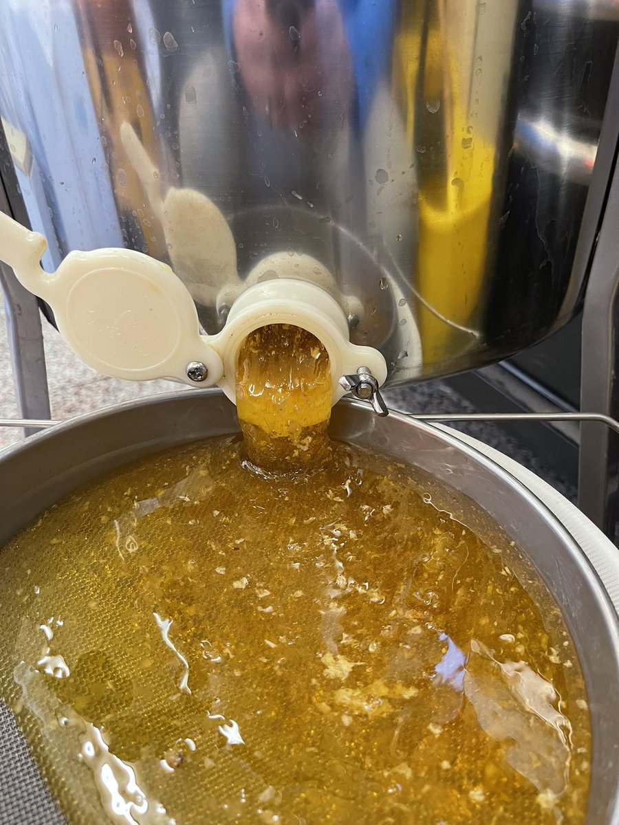 ThomKhall's tweet photo. My junior beekeeper assistant helping get the wax caps off before we spin the frames https://t.co/rUA4HwveBG