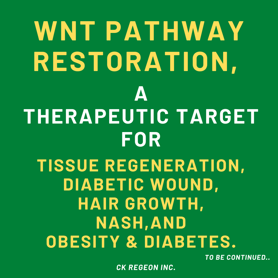 CkRegeon's tweet image. WNT Pathway restoration, a therapeutic target for safe tissue regeneration.

#ckregeon #koreanbiotech #cxxc5 #Wnt #β-catenin #Dishevelled #obesity #diabetes #diabeticwound #diabeticfootulcer #nash#wntactivation#safeactivationofwnt#wnton#tissue#tissueregeneration#regeneration