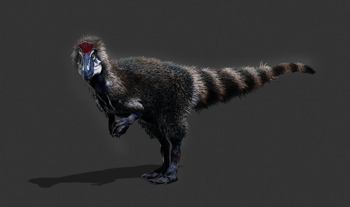 vankev's tweet photo. C #cryolophosaurus
#abcfanartchallenge #dinosaurs #AbcDinosaurs
#abcfanart #abcfanarts #zbrush #3dmodeling #3dmodel https://t.co/bL6WDA4kwf