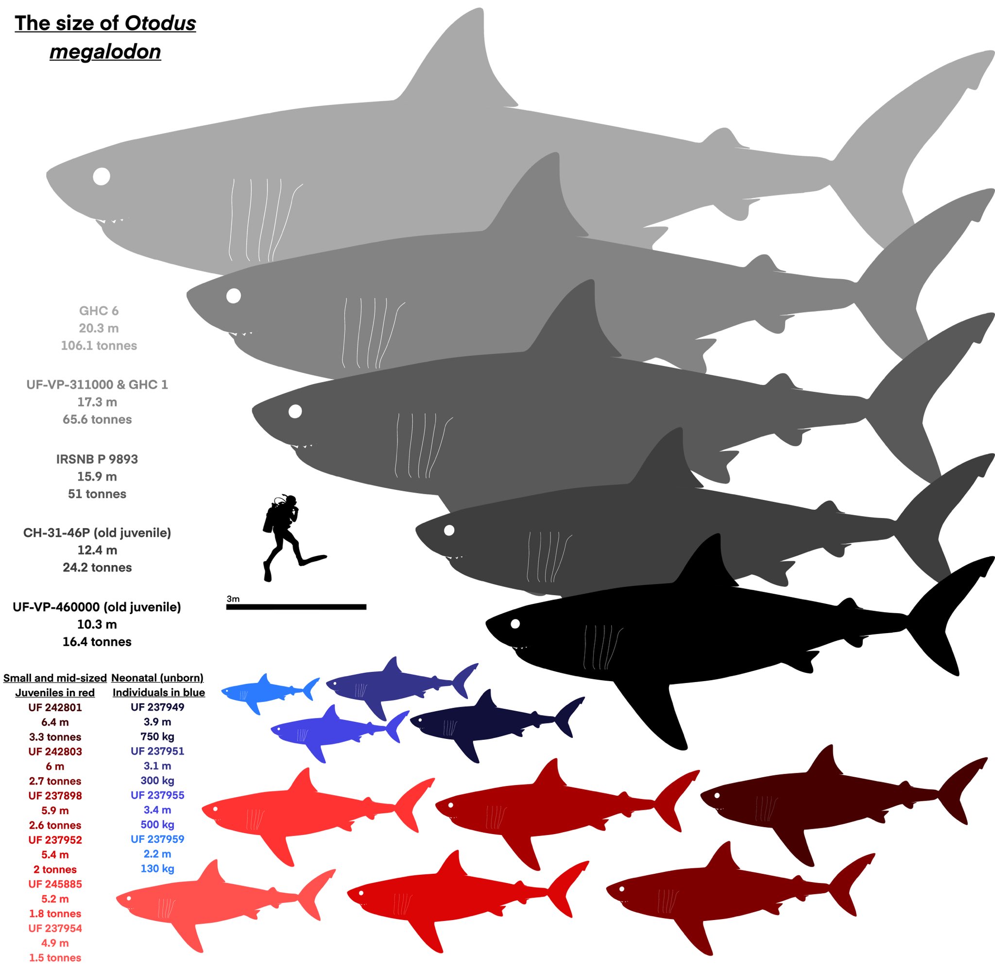 Tosha on Twitter "Big sharks https//t.co/wQTkfuei7h" / Twitter