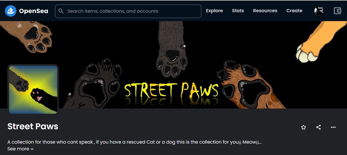 Gato 🐱 tweet media