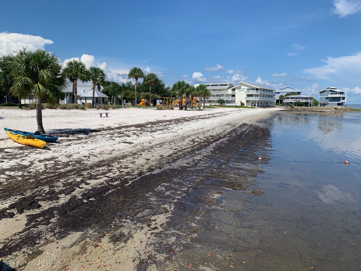 DavidKaber's tweet photo. #UFISE faculty retreat at Cedar Key, FL. Engaging discussions on research directions, new West Palm Beach Campus, future faculty hiring, undergrad program development, scholarships and fellowships, etc. https://t.co/194gEmsTah