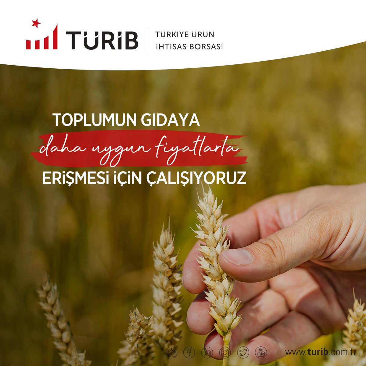 Yalangoch Kamensky yangi