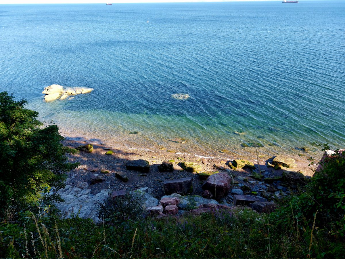 Hike1000miles's tweet photo. New running routes, happy seal ππππββοΈ Running adventures
#getoffthechair #Gooutdoors #nature #views #running #sea #seaside #landscape #seal #photography #views #run #exercises #flower #NaturePhotograhpy #happySeal #sunshine #explorer #adventures #runningAdventures #travel https://t.co/MwaDs1kCkh