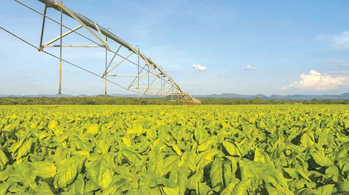 GuardianZim's tweet photo. Preps for tobacco season gather pace https://t.co/ENw6Y4MZ3Q https://t.co/dHWnIqthB7