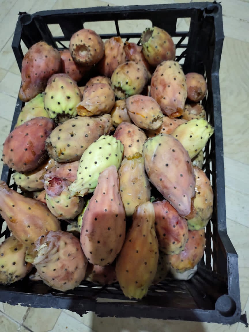 طبعا التين دا لو فضل لبكرا هيبوظ 🤤🤍🤍