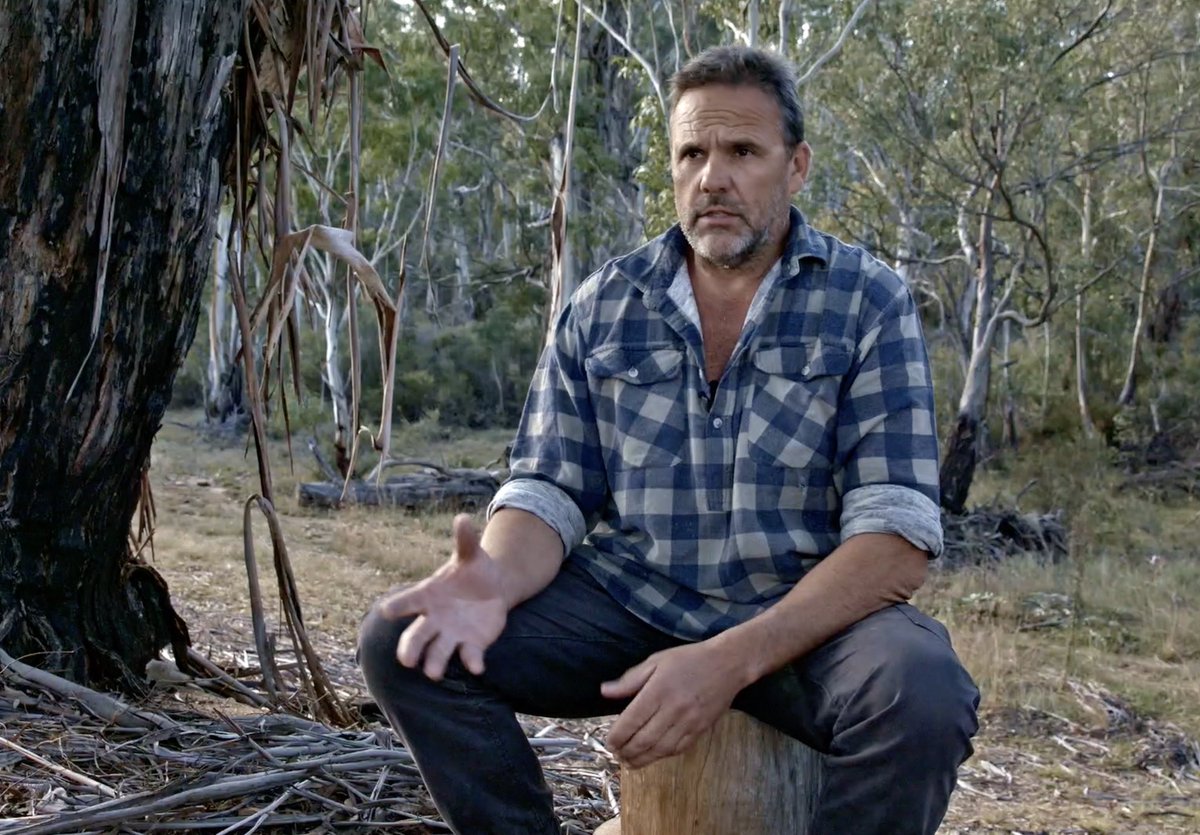 Frontyard Films tweet media